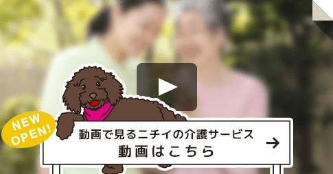 動画で詳しくご紹介