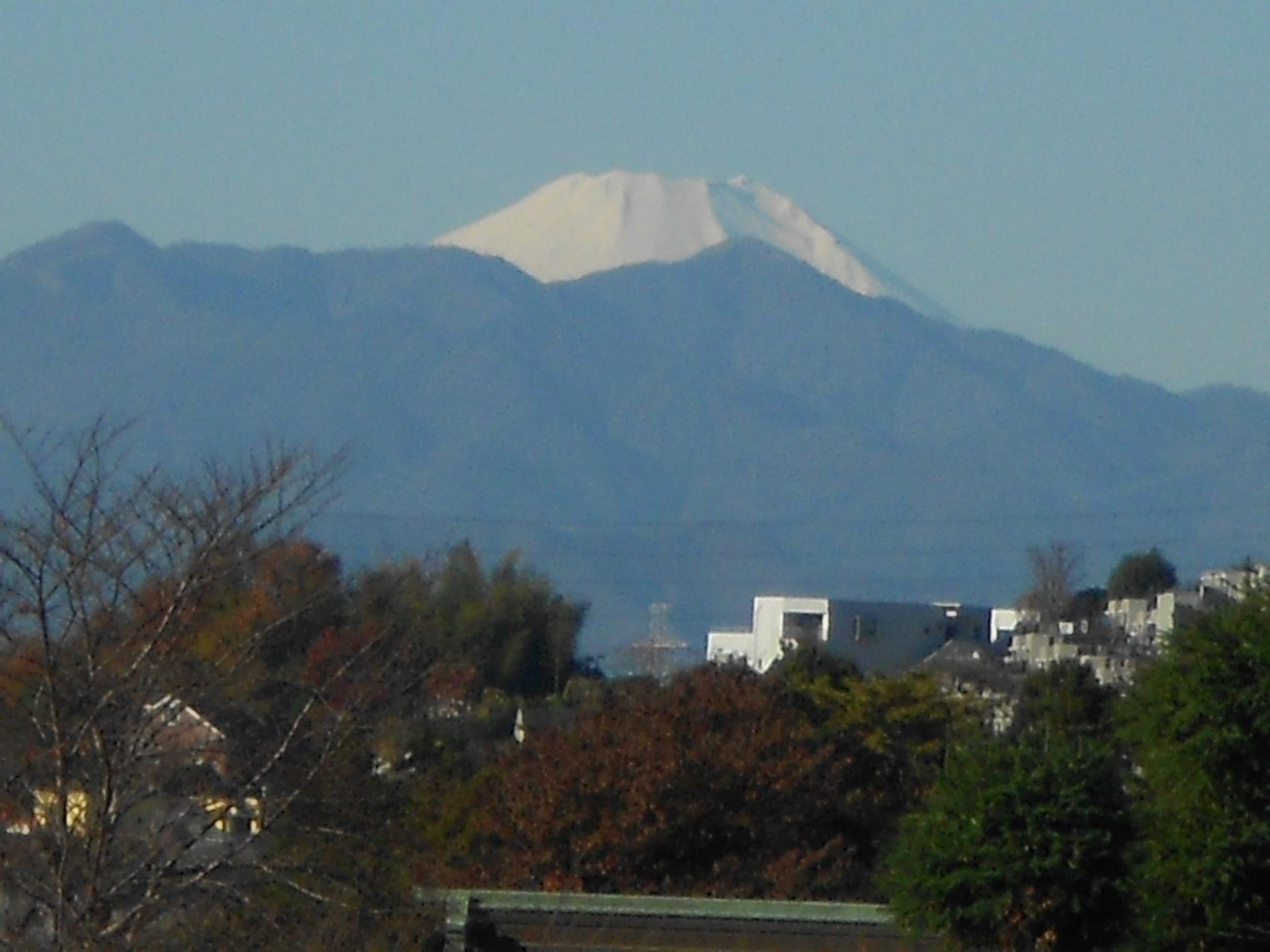 ニチイケアセンター川崎長沢