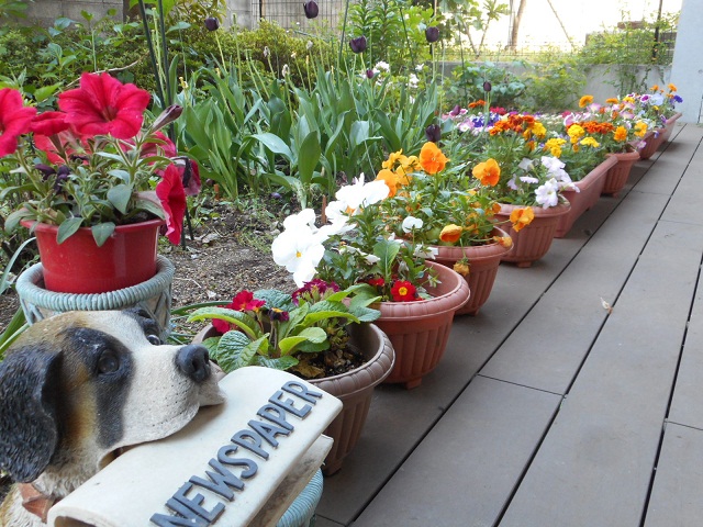 ニチイケアセンター東村山野口町