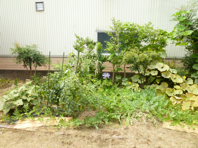 ニチイケアセンター牧の原
