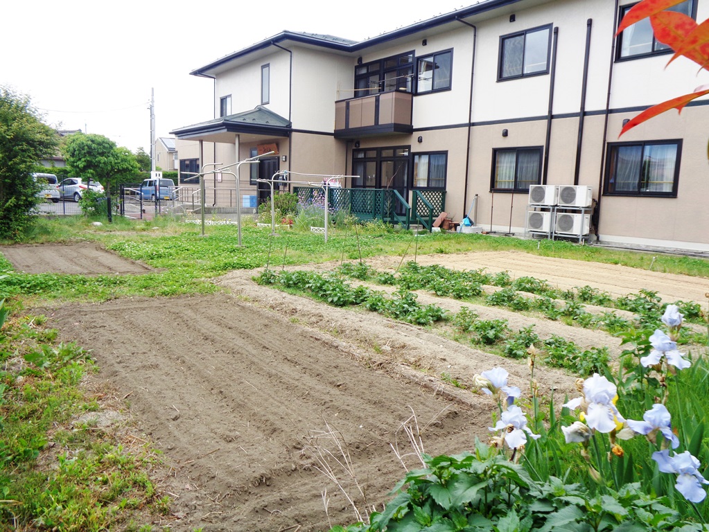 ニチイケアセンター柏木