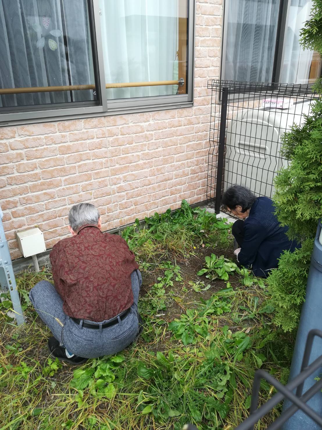 ニチイケアセンター黒沢尻 介護施設 施設だより ニチイの介護サイト