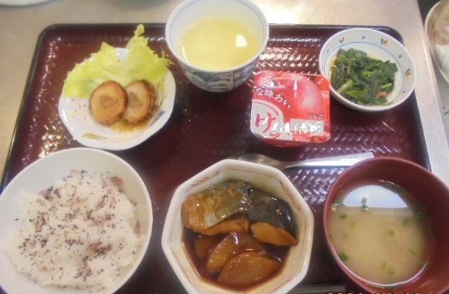 ニチイケアセンター西小路