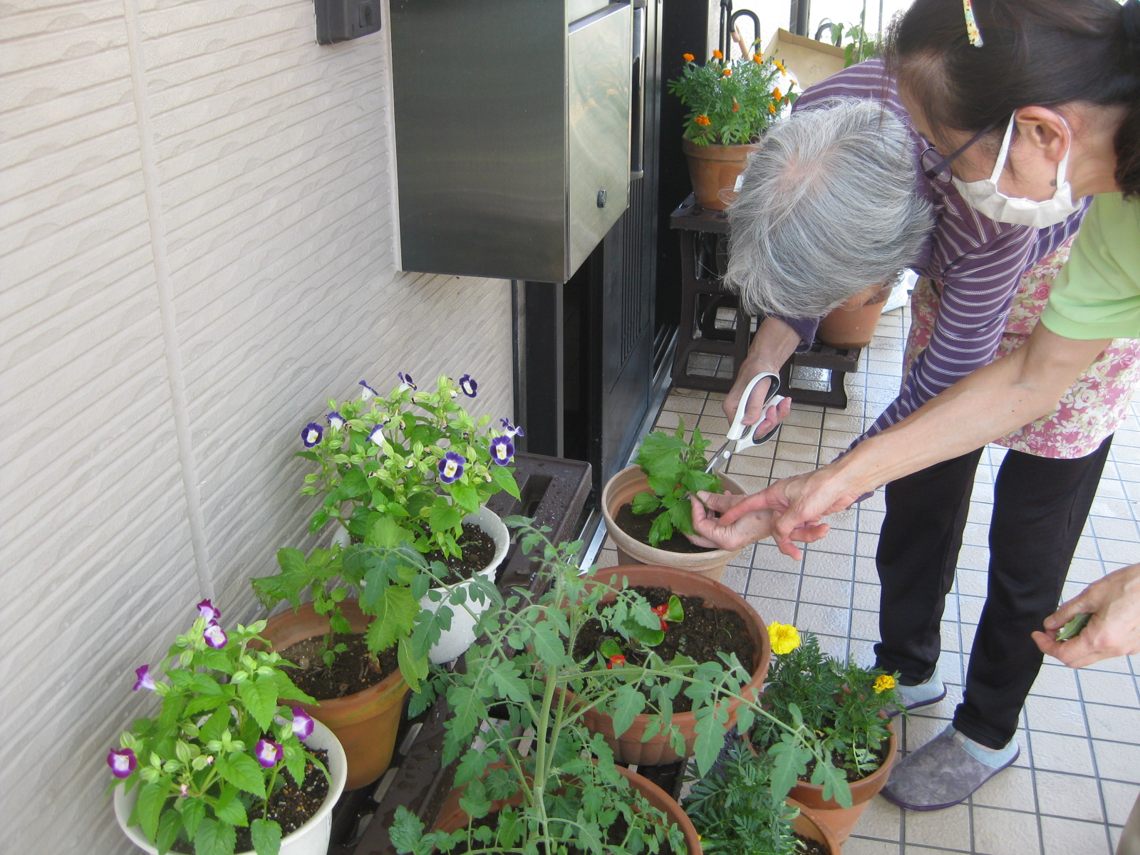 ニチイケアセンター南柏