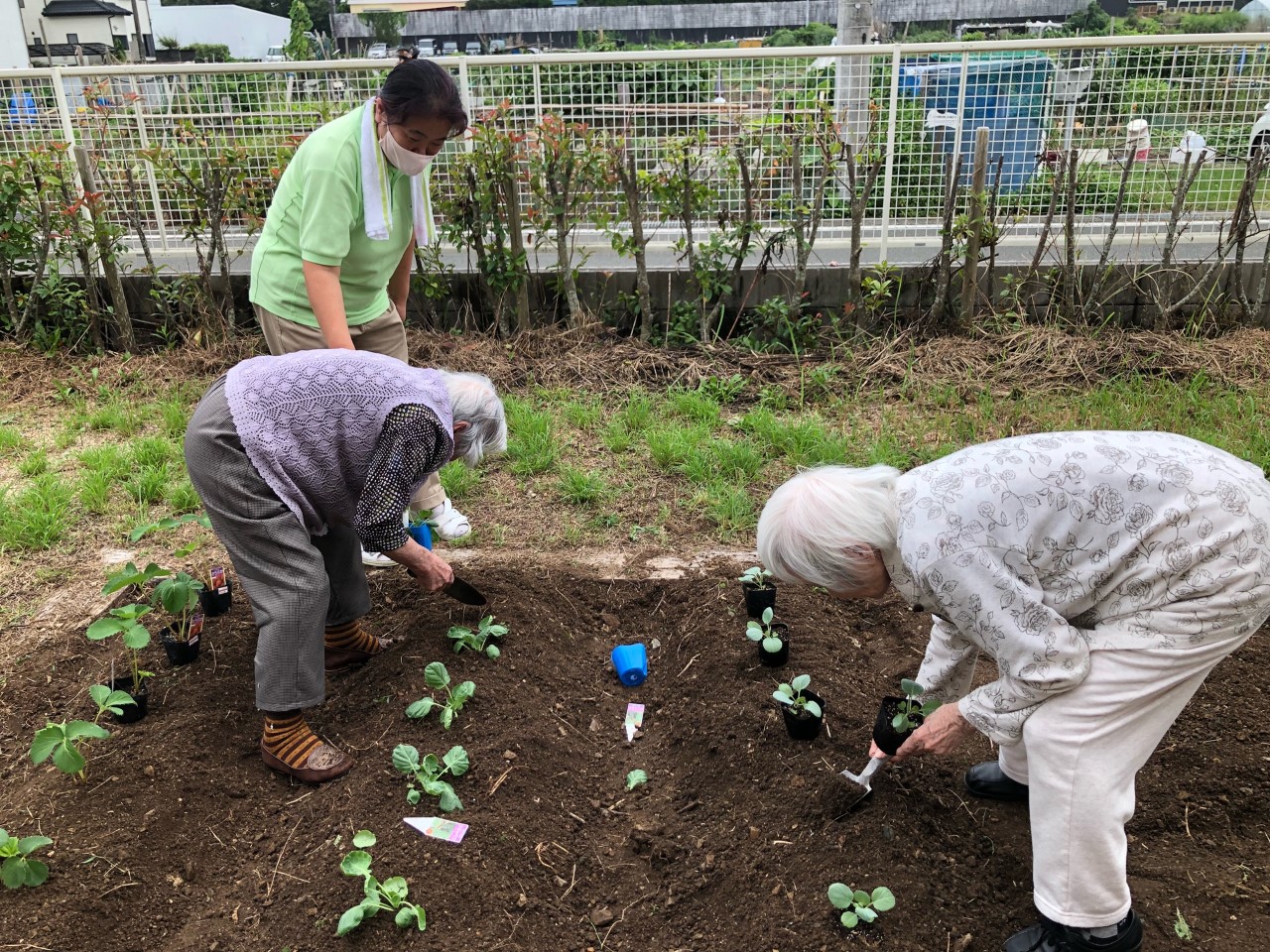 ニチイケアセンター高知桂浜