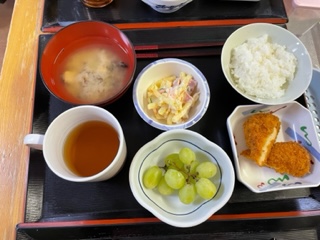 ニチイケアセンター千歳北陽