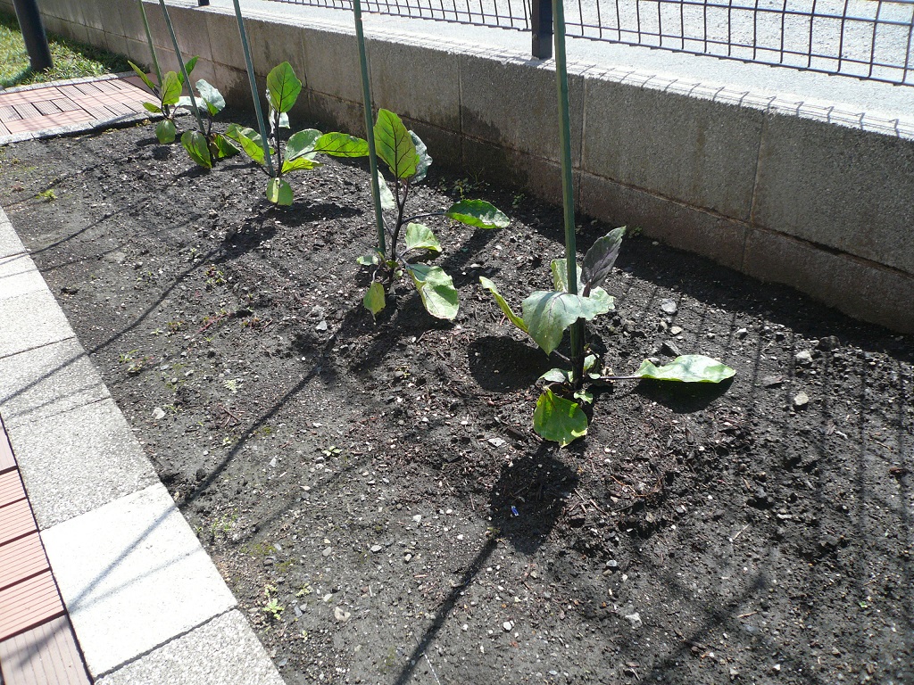 ニチイケアセンター相模原