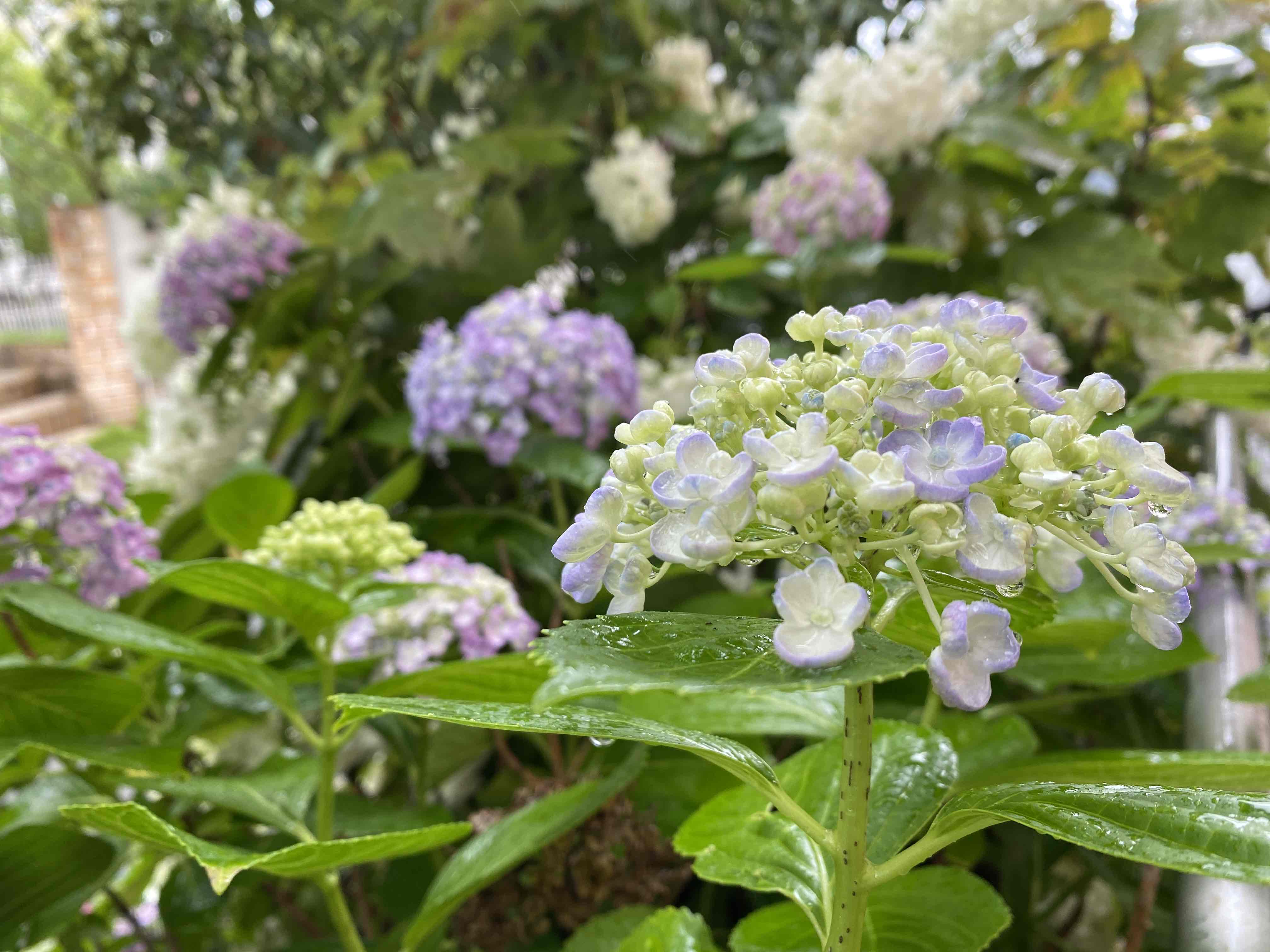 ニチイケアセンター東田