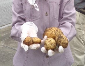 ニチイケアセンター目黒本町