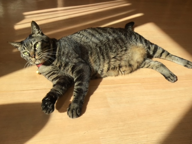 ニチイケアセンター巽東