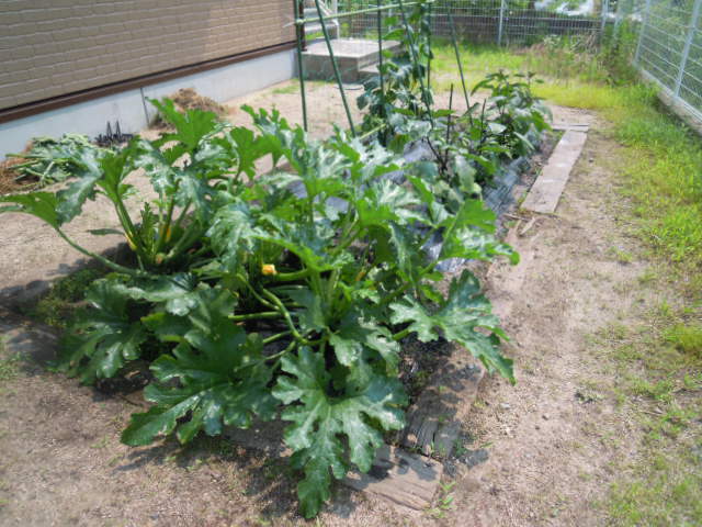 ニチイケアセンター東津田