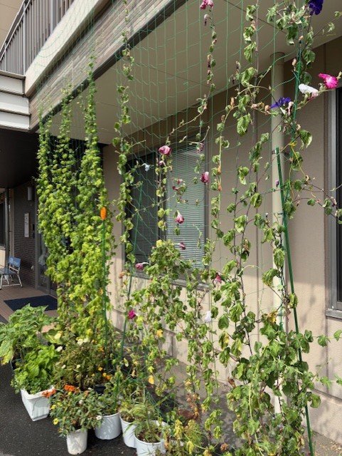 ニチイケアセンター港南台