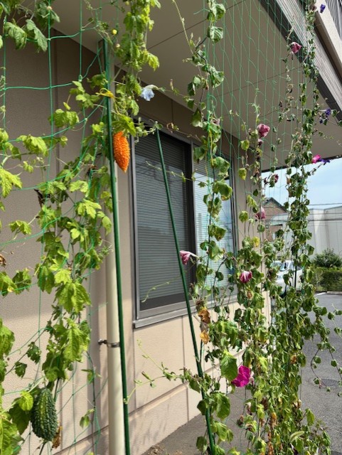 ニチイケアセンター港南台