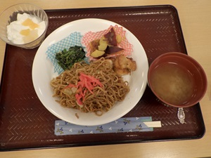 ニチイケアセンターごてん