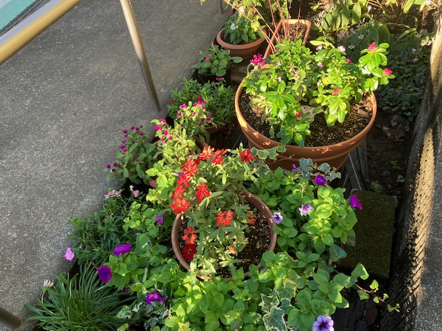 ニチイケアセンター富士見