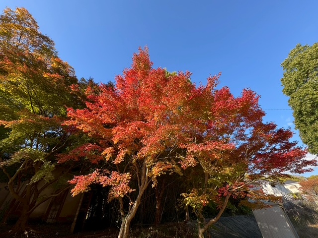 ニチイケアセンターひめじ的形