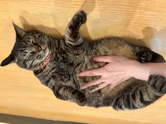 ニチイケアセンター巽東