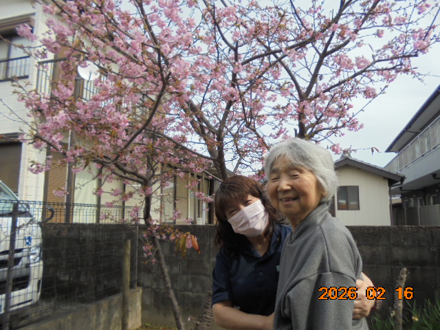 ニチイケアセンター西小路