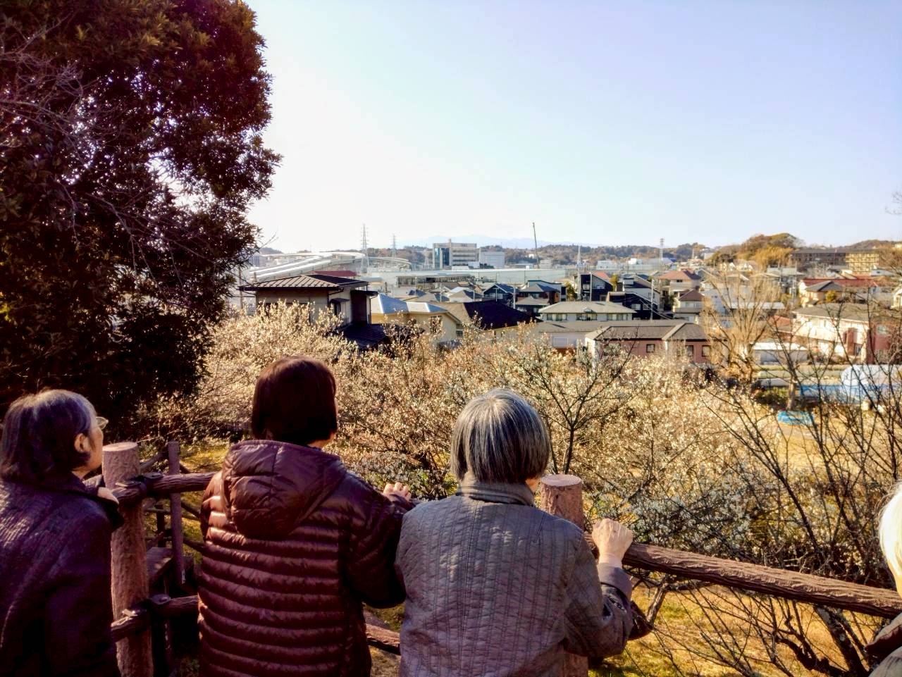 ニチイケアセンター横浜本郷台