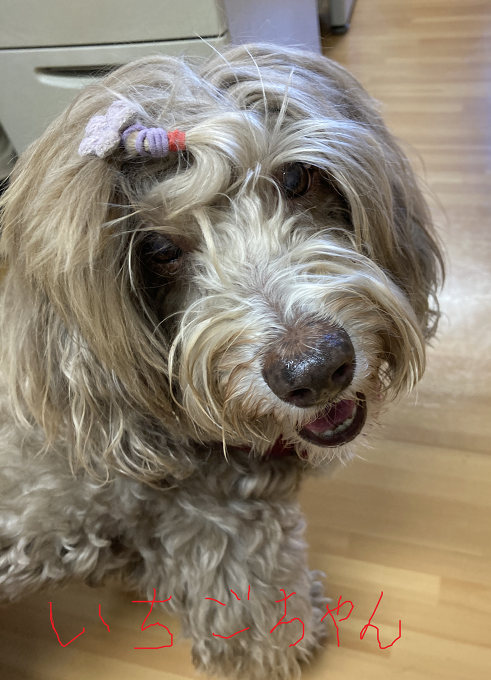 ニチイケアセンター所沢上安松