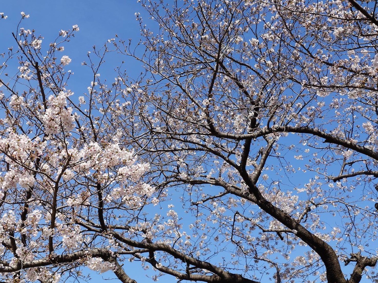 ニチイケアセンター静岡中原