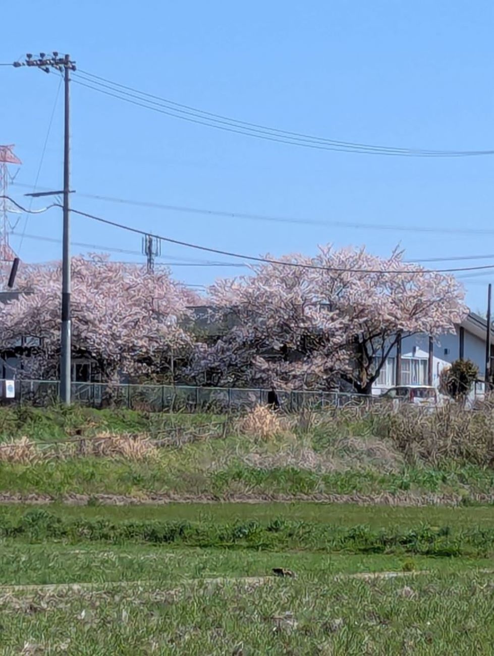 ニチイケアセンター京田辺
