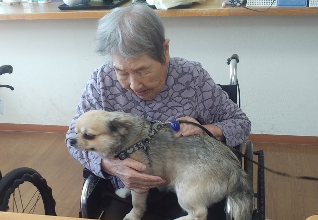 ニチイケアセンター千歳北陽