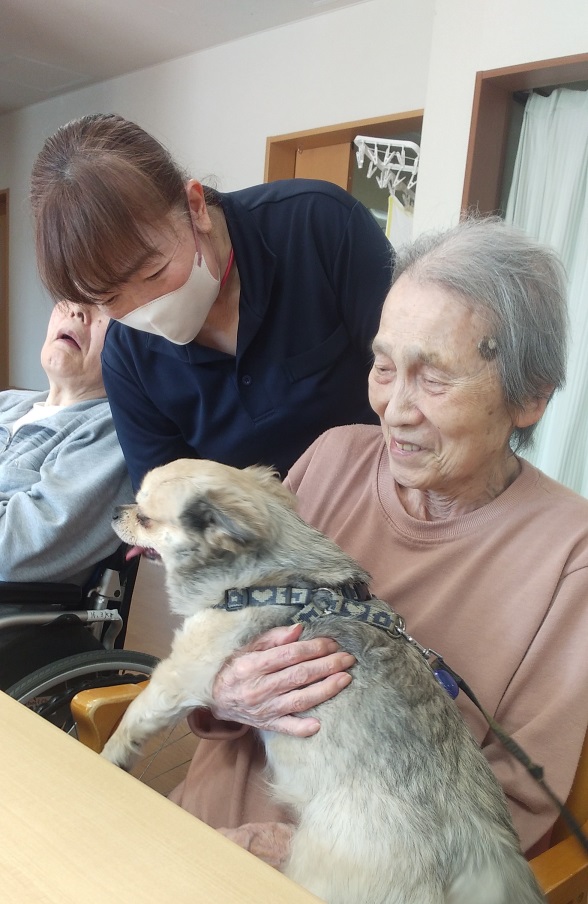 ニチイケアセンター千歳北陽