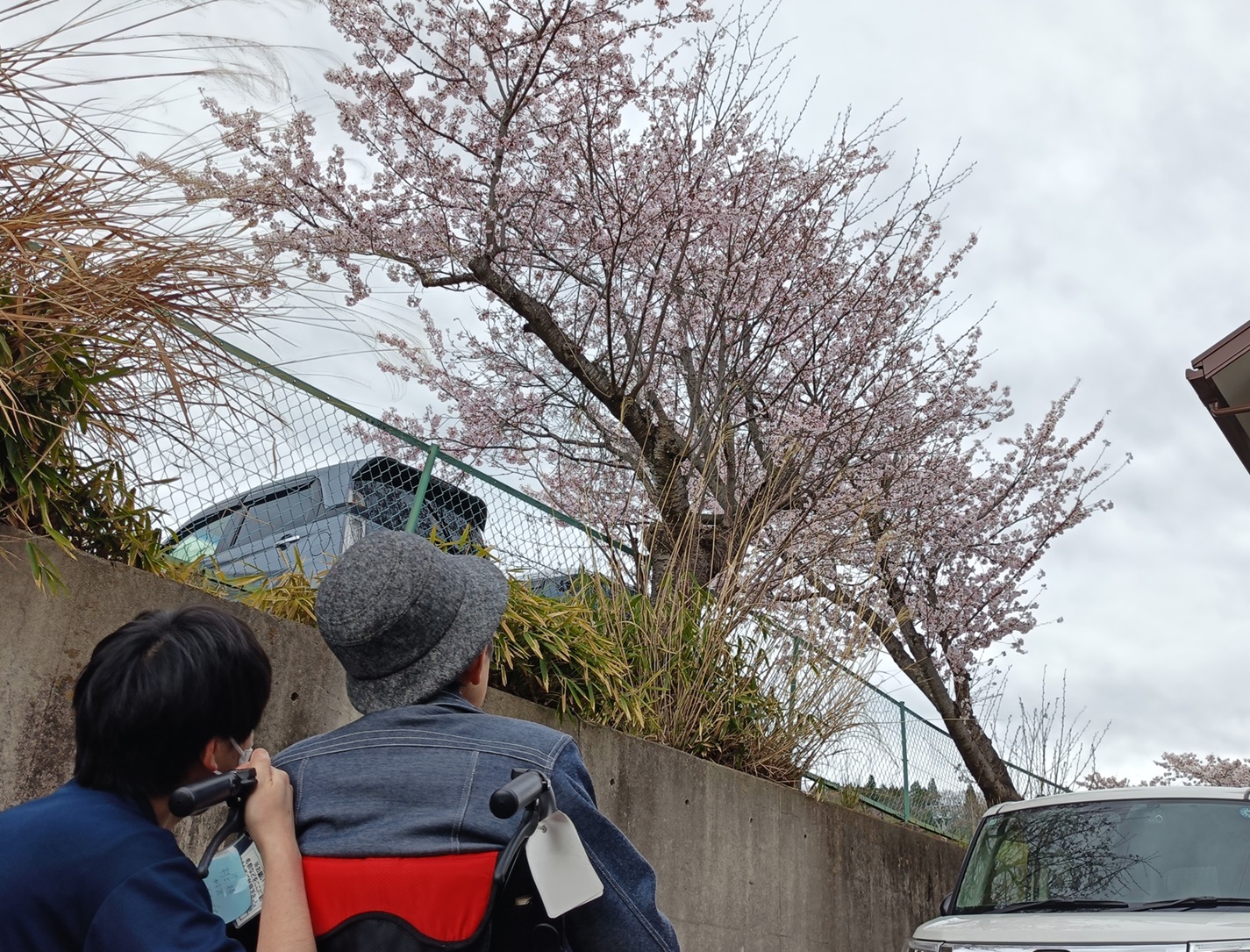 ニチイケアセンター仙台松森