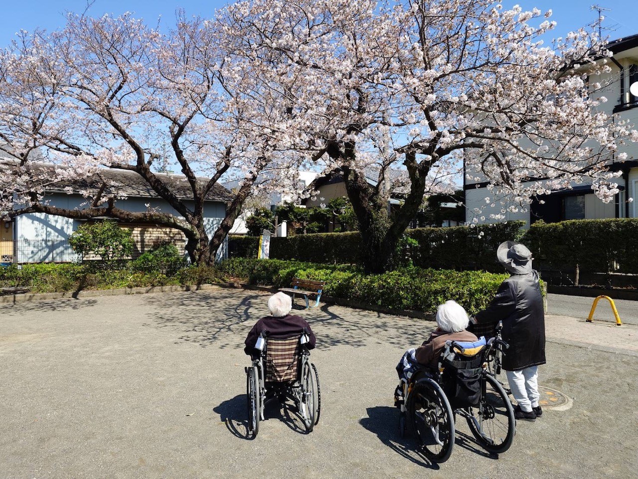 ニチイケアセンター静岡中原