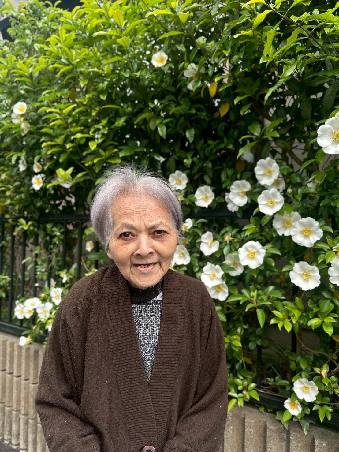 ニチイケアセンター横浜本郷台