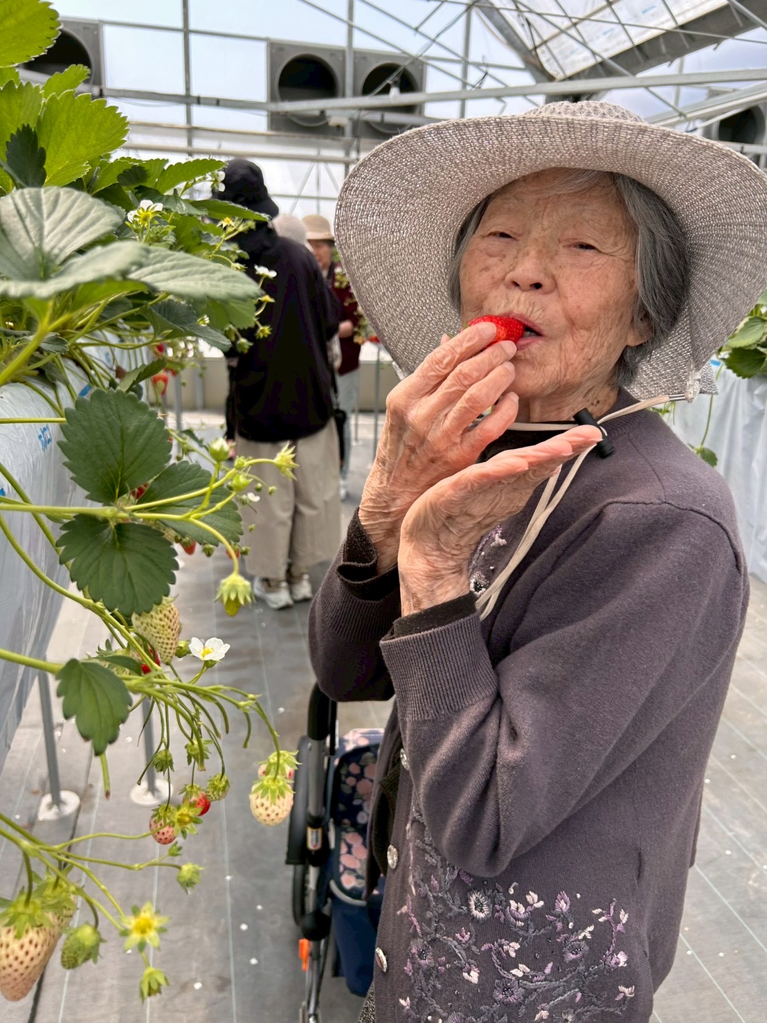 ニチイケアセンター半田ひいらぎ