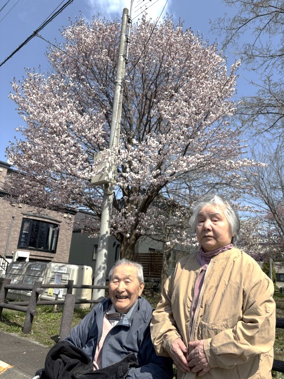 ニチイケアセンター千歳北陽
