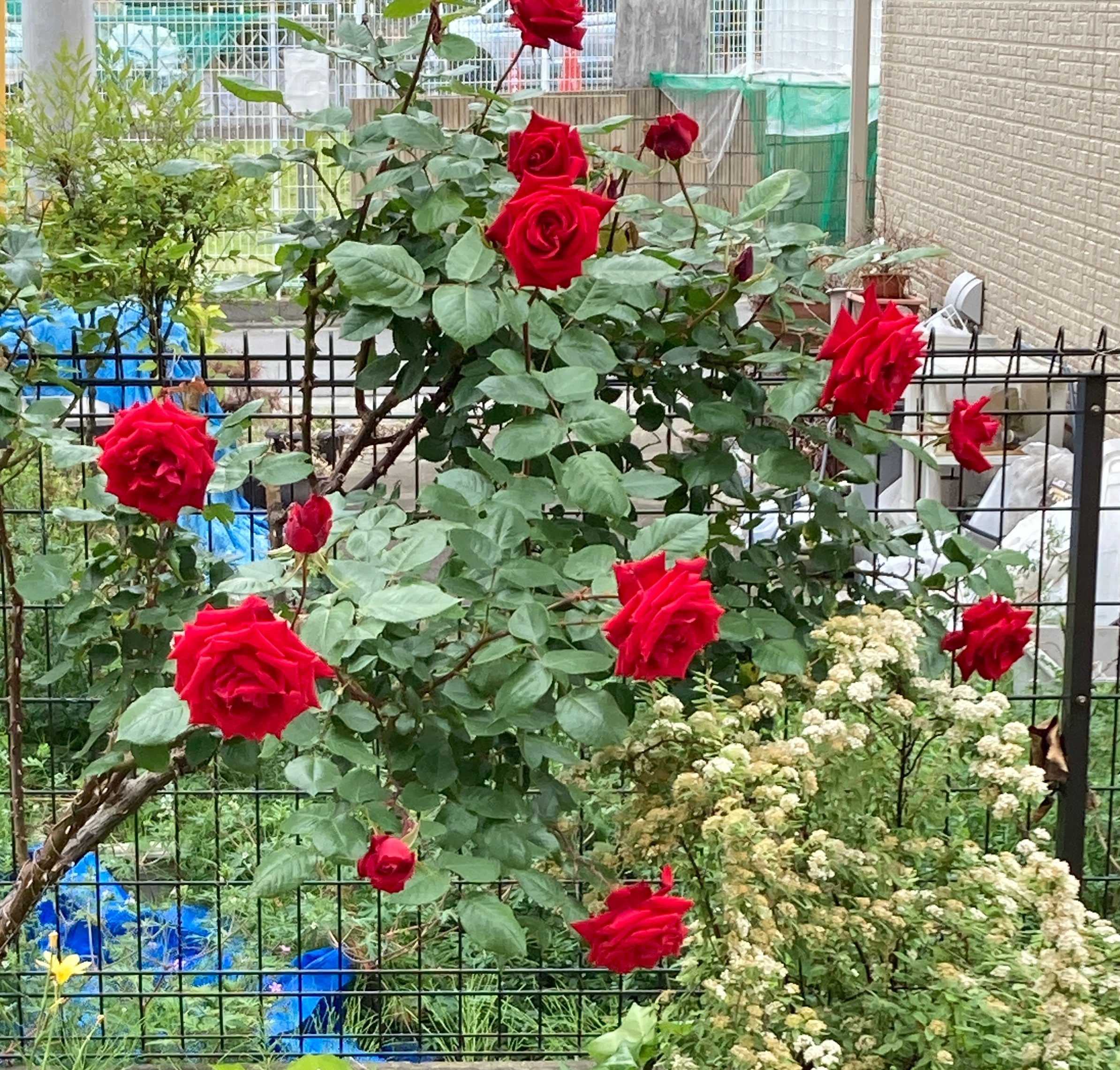 ニチイケアセンター所沢上安松