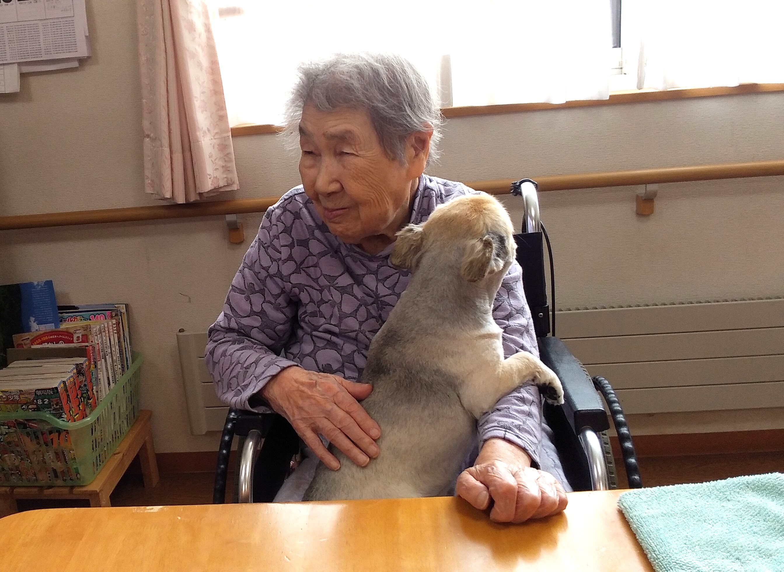 ニチイケアセンター千歳北陽