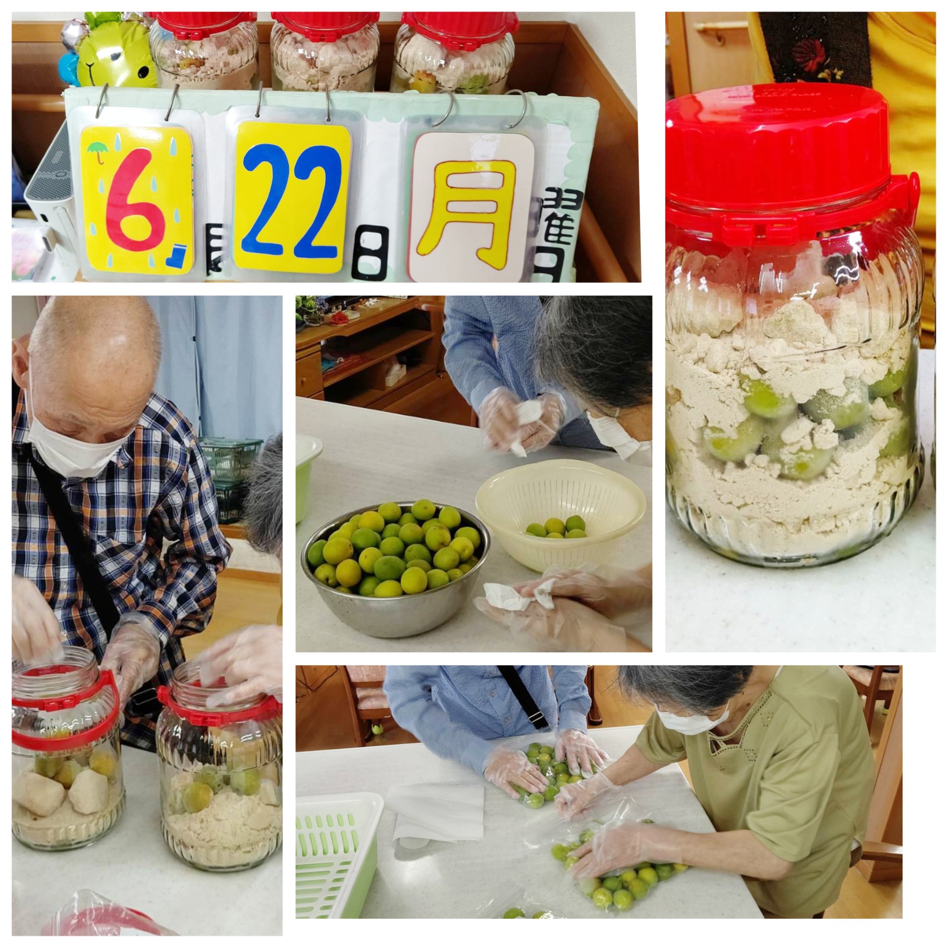 入居者による漬物作り。梅干し製作の工程を複数カットで記録した様子。