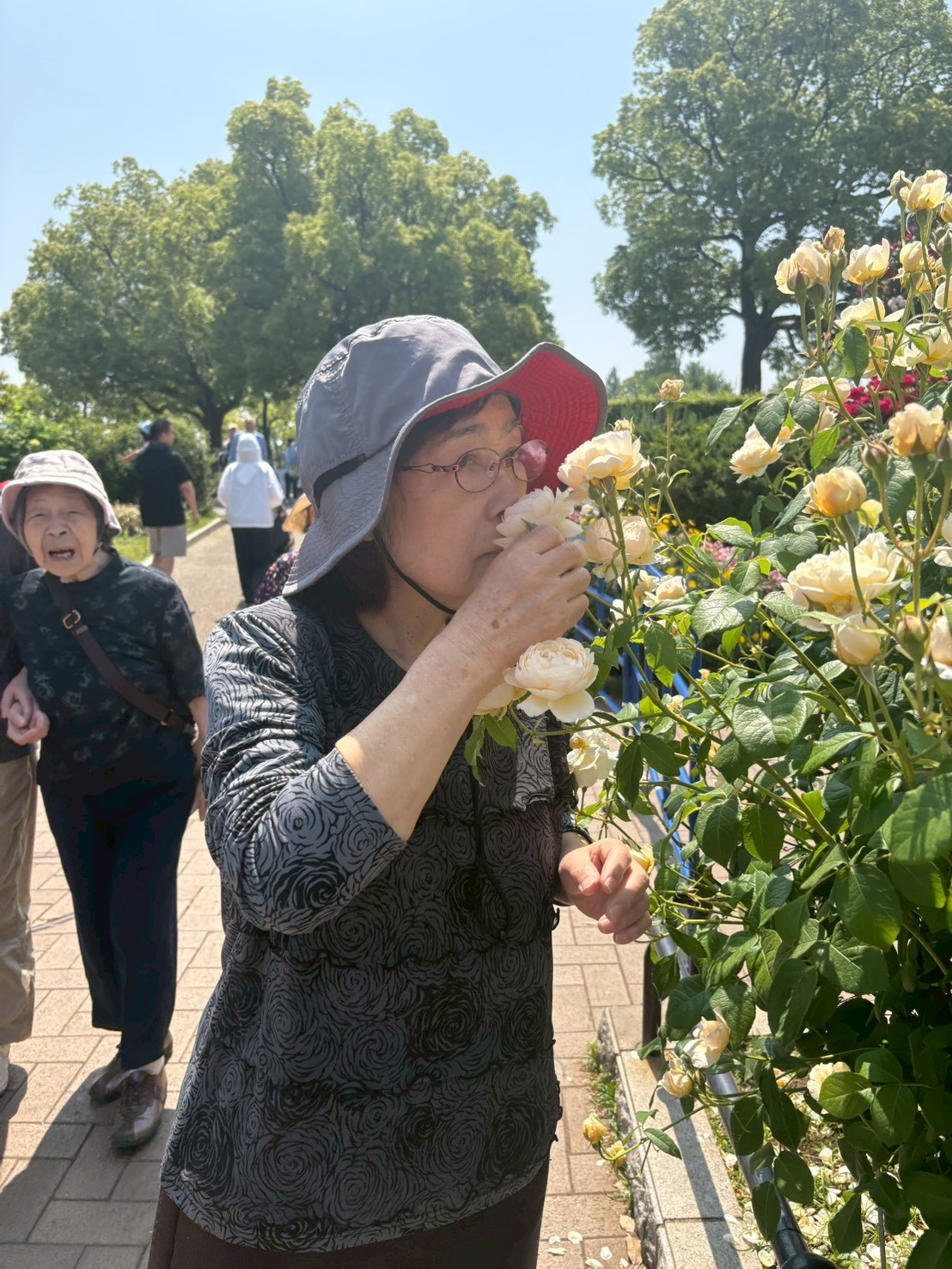 ニチイケアセンター横浜本郷台