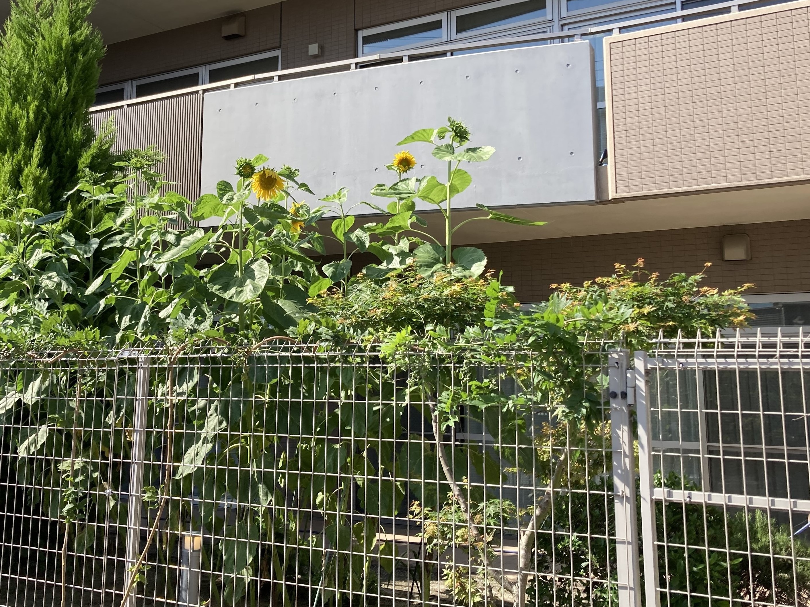 ニチイケアセンター仙台市名坂