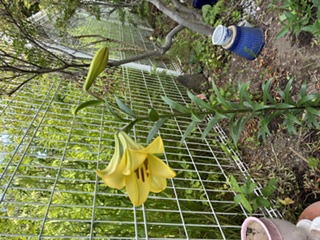 ニチイケアセンター手稲